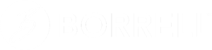 Borrell-Associates-Logo-Horizontal-White-New